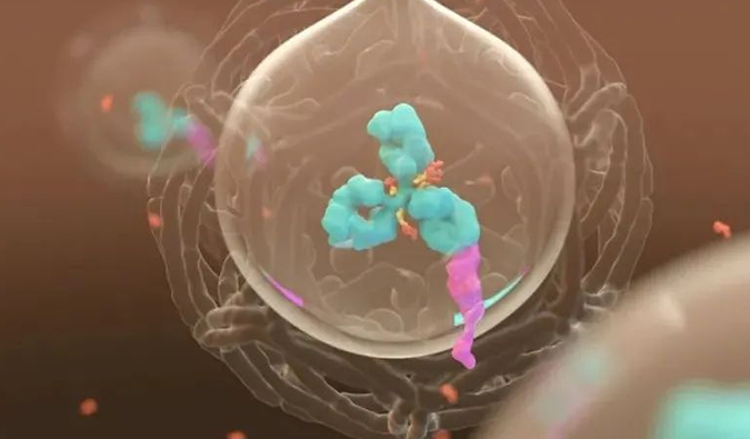 美研 | BG大游带您相识ADC玄妙之处