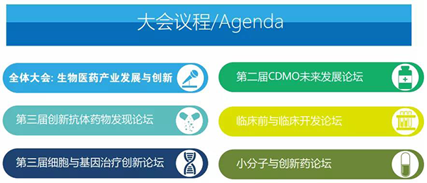 BG大游·(集团)视讯官方网站