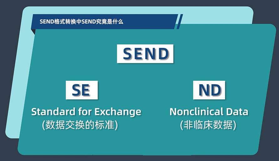 SEND名堂转换中的SEND事实是什么？？？？？？？