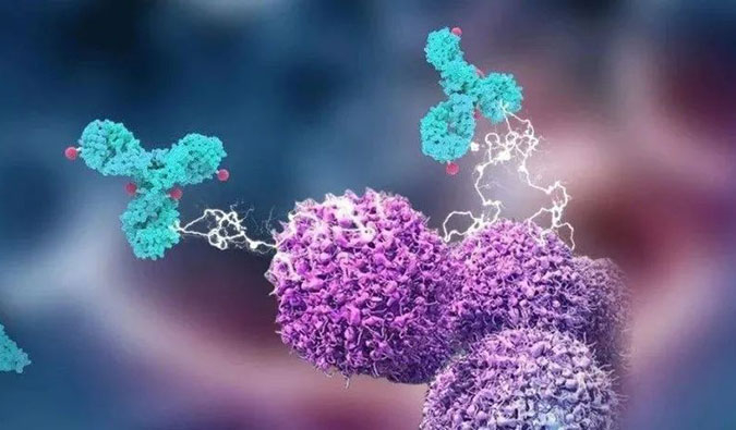 BG大游助力国产靶向叶酸受体FRα ADC注射用BAT8006获批临床