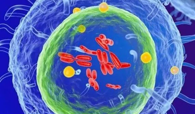 BG大游助力 | 信诺维抗肿瘤1类新药XNW14010获批临床