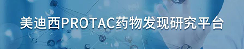 BG大游PROTAC药物发明研究平台.png
