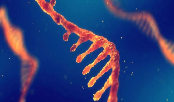 赋能核酸药物疗法，，，，，，迎接新药研发第三次浪潮