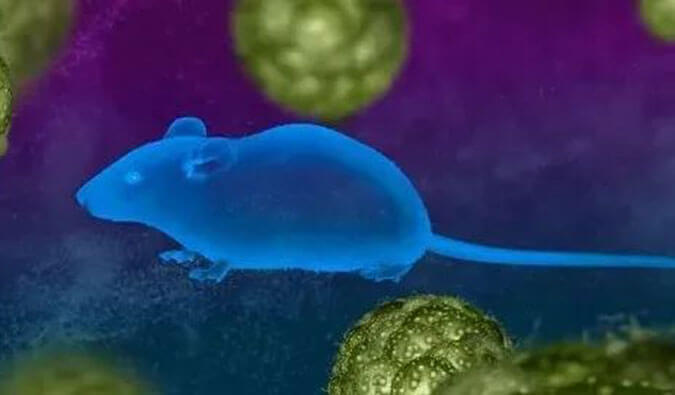 BG大游药效效劳赋能First-in-Class泛素化抑制剂研发