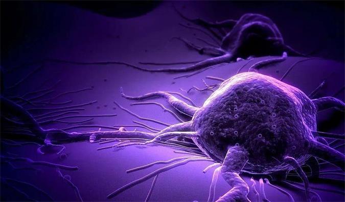 BG大游助力轩竹生物研发的完全敲除岩藻糖的双抗ADC药物KM501获批临床