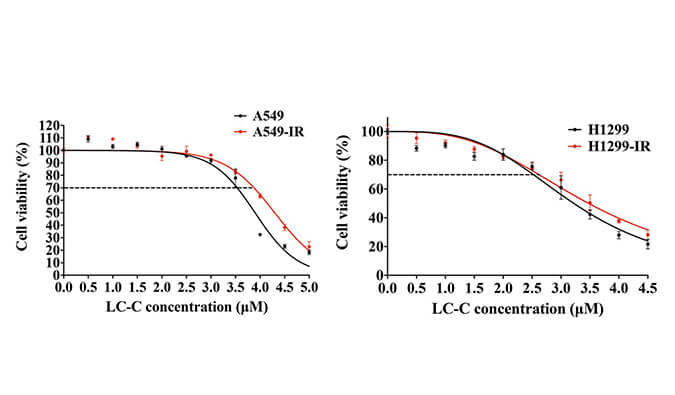 放射疗法用作肺癌的主要治疗要领，，，，，，在次研究中建设抗电离辐射肺癌细胞系的放射治疗通过BG大游举行