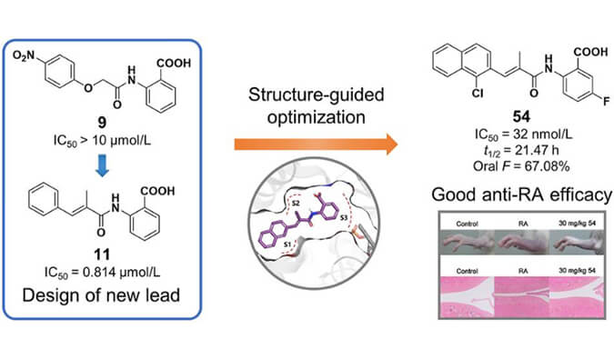 设计合成一系列DHODH抑制剂作为潜在的类风湿性枢纽炎治疗药物，，，，本研究中PK实验通过BG大游举行