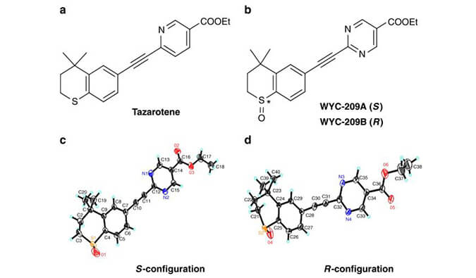 WYC-209可抑制恶性小鼠玄色素瘤肿瘤再生细胞增殖，，，，，SPR剖析通过BG大游使用Biacore 8K装备举行