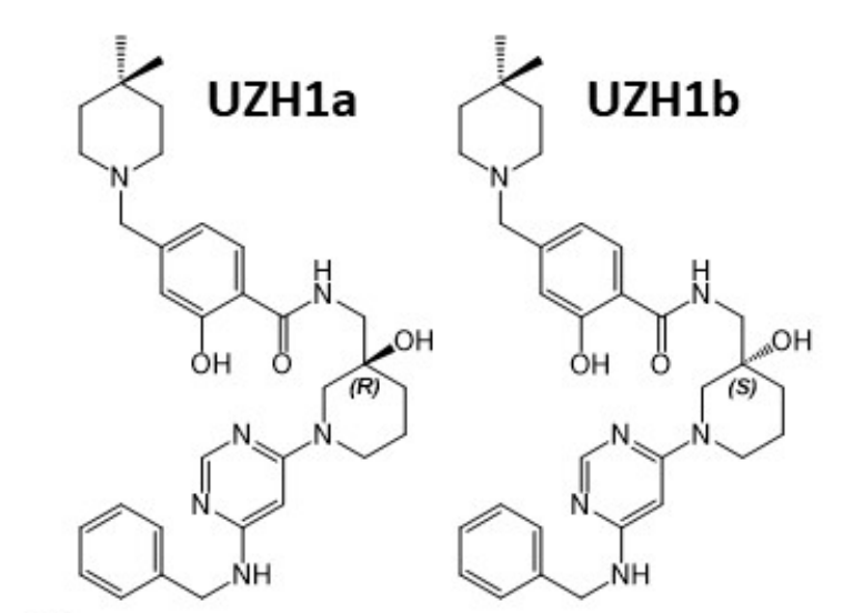 研究职员报告了一种具有细胞渗透性的选择性METTL3纳摩尔抑制剂UZH1a，，，，，，作者谢谢BG大游合成了UZH1a和UZH1b