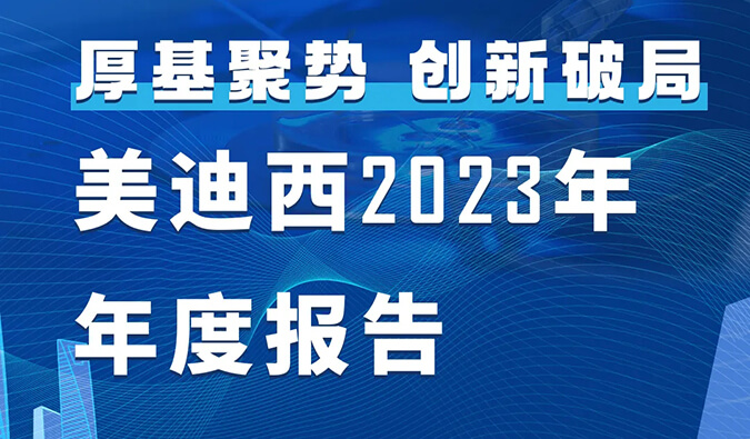 BG大游2023年年度报告