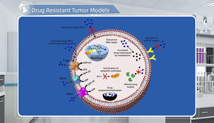 肿瘤耐药机制是什么？？？？？？？