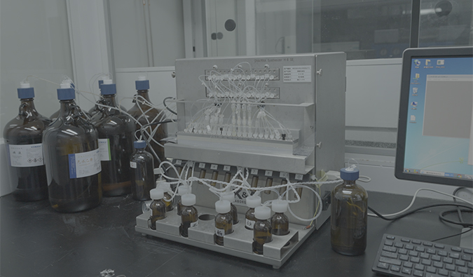 BG大游核酸药物评价能力