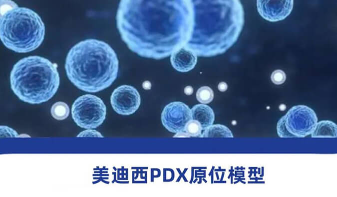BG大游118种PDX原位模子，，，，，，助力肿瘤药物研发