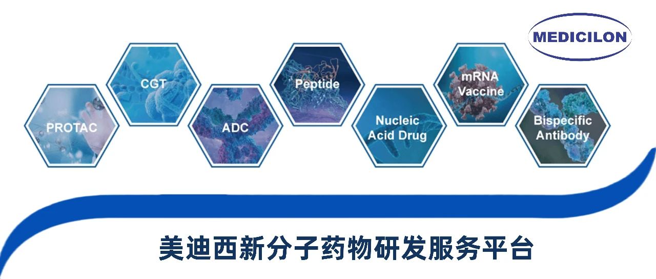 BG大游新分子类型药物研发效劳平台