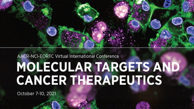 通过联合治疗提高免疫疗法疗效，，，，，本研究中临床前体内药效研究通过BG大游举行