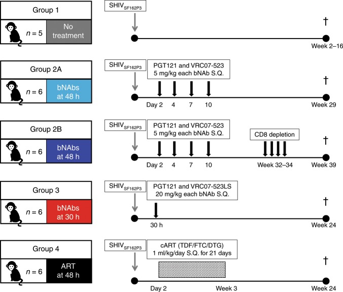 抗逆转录病毒疗法(ART)预防围产期HIV熏染，，，，，本研究中多替拉韦钠盐和游离态均由BG大游提供