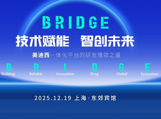 BRIDGE | BG大游“手艺赋能，，，，智创未来”巡回钻研会